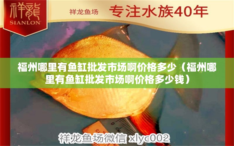 福州哪里有魚缸批發(fā)市場啊價(jià)格多少（福州哪里有魚缸批發(fā)市場啊價(jià)格多少錢） 祥龍水族醫(yī)院