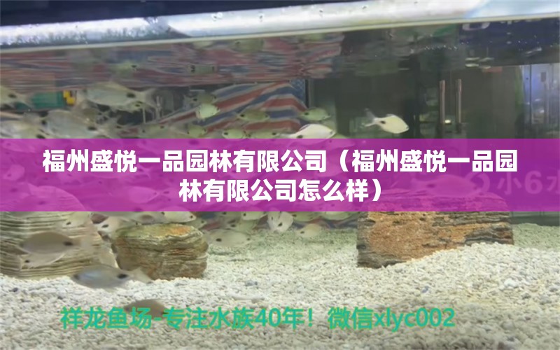 福州盛悅一品園林有限公司（福州盛悅一品園林有限公司怎么樣）