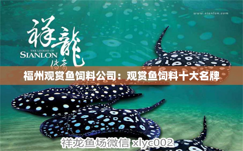 福州觀賞魚飼料公司：觀賞魚飼料十大名牌 觀賞魚 第1張