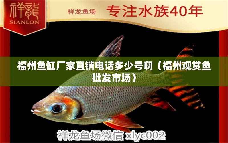 福州魚(yú)缸廠家直銷電話多少號(hào)?。ǜＶ萦^賞魚(yú)批發(fā)市場(chǎng)）