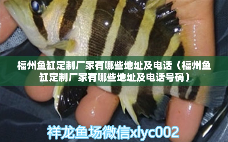 福州魚(yú)缸定制廠家有哪些地址及電話（福州魚(yú)缸定制廠家有哪些地址及電話號(hào)碼） 野生地圖魚(yú)