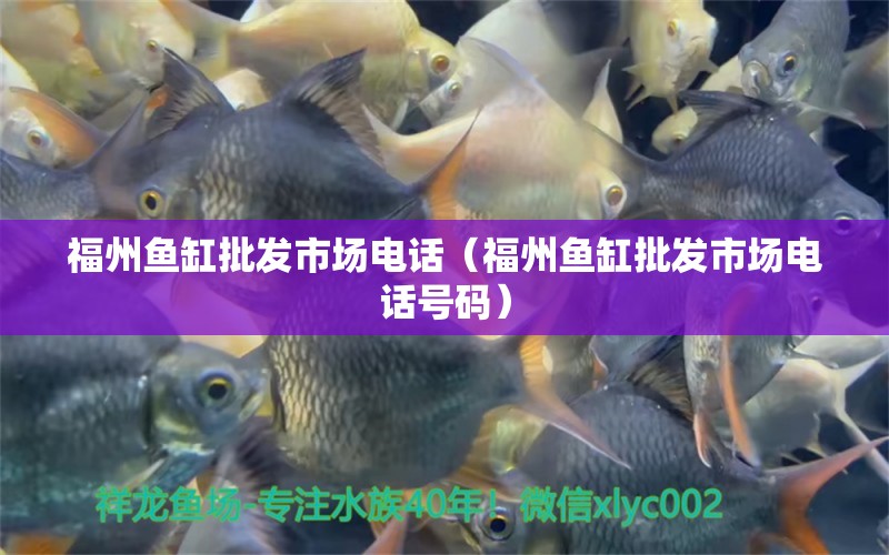 福州魚(yú)缸批發(fā)市場(chǎng)電話(huà)（福州魚(yú)缸批發(fā)市場(chǎng)電話(huà)號(hào)碼） 其他品牌魚(yú)缸