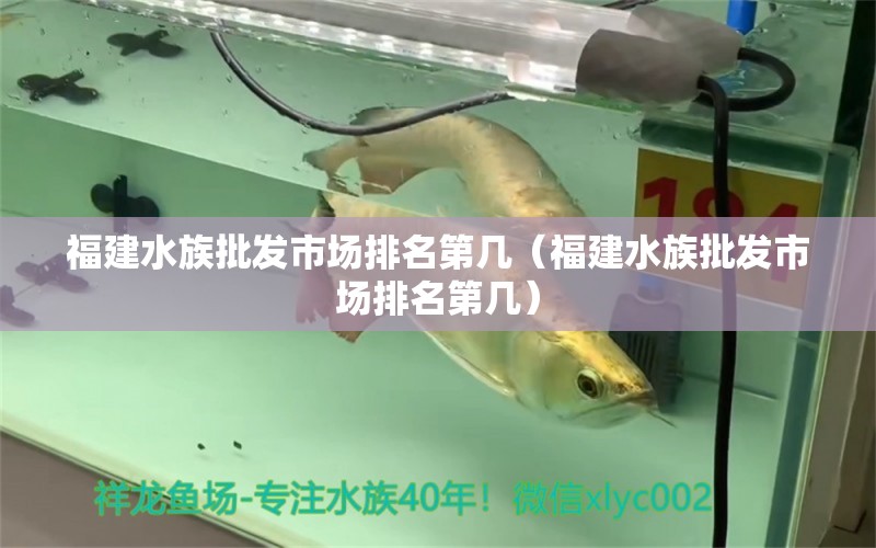 福建水族批發(fā)市場排名第幾（福建水族批發(fā)市場排名第幾）