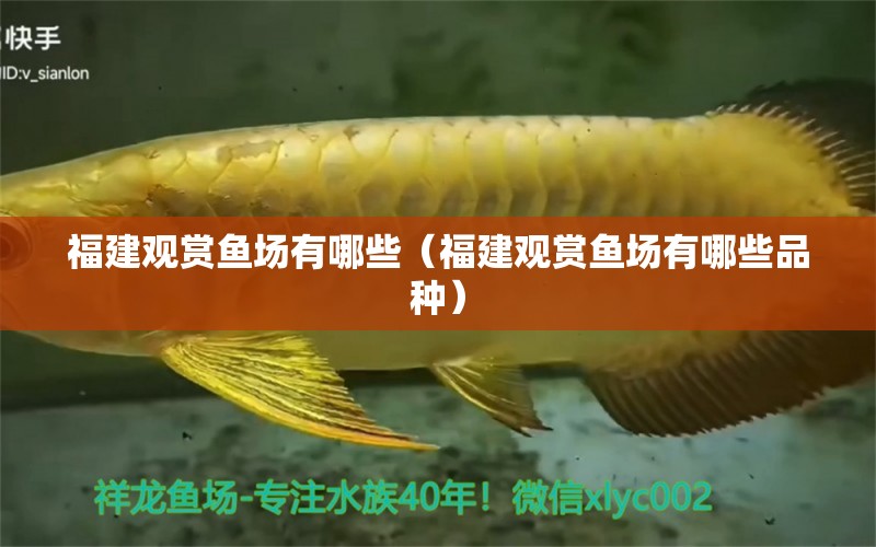 福建觀賞魚場有哪些（福建觀賞魚場有哪些品種） 祥龍龍魚專用水族燈