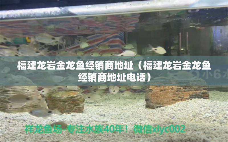 福建龍巖金龍魚經(jīng)銷商地址（福建龍巖金龍魚經(jīng)銷商地址電話）