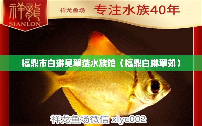 福鼎市白琳吳翠燕水族館（福鼎白琳翠郊） 全國水族館企業(yè)名錄