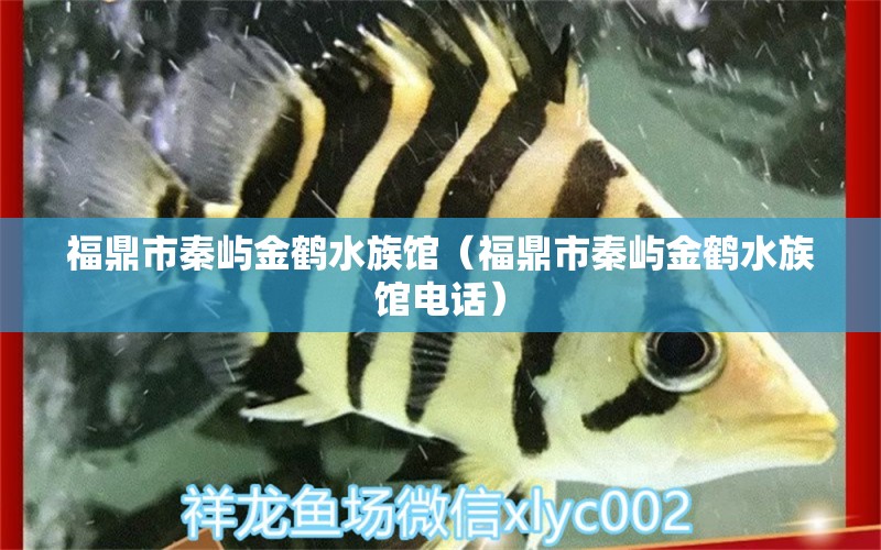 福鼎市秦嶼金鶴水族館（福鼎市秦嶼金鶴水族館電話） 全國(guó)水族館企業(yè)名錄