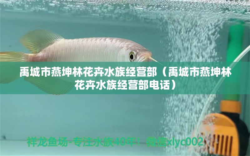 禹城市燕坤林花卉水族經(jīng)營(yíng)部（禹城市燕坤林花卉水族經(jīng)營(yíng)部電話） 全國(guó)水族館企業(yè)名錄