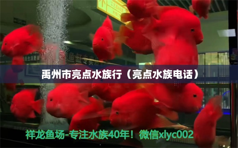 禹州市亮點(diǎn)水族行（亮點(diǎn)水族電話）