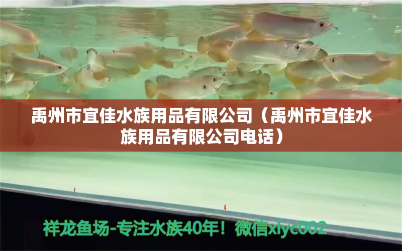 禹州市宜佳水族用品有限公司（禹州市宜佳水族用品有限公司電話） 水族用品