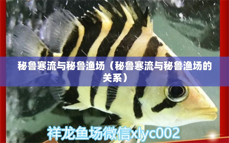 秘魯寒流與秘魯漁場（秘魯寒流與秘魯漁場的關系）