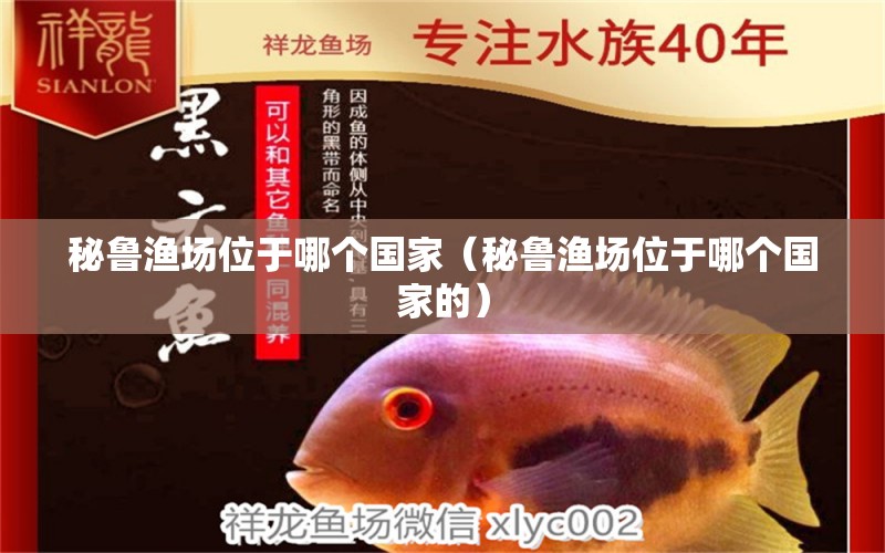 秘魯漁場位于哪個國家（秘魯漁場位于哪個國家的） 廣州龍魚批發(fā)市場