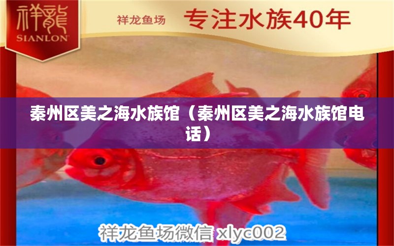 秦州區(qū)美之海水族館（秦州區(qū)美之海水族館電話） 全國水族館企業(yè)名錄