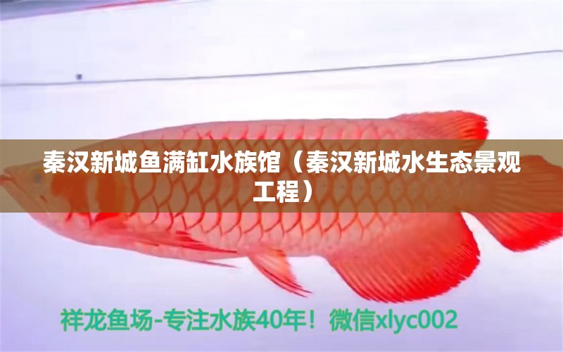 秦漢新城魚滿缸水族館（秦漢新城水生態(tài)景觀工程）