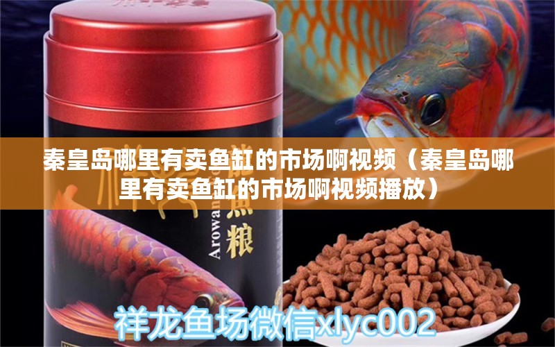 秦皇島哪里有賣魚缸的市場(chǎng)啊視頻（秦皇島哪里有賣魚缸的市場(chǎng)啊視頻播放） 羽毛刀魚苗