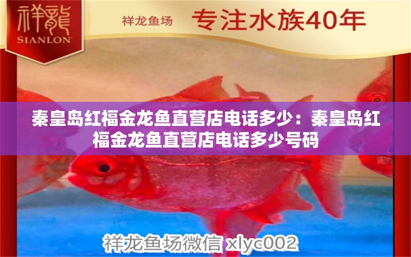 秦皇島紅福金龍魚直營店電話多少：秦皇島紅福金龍魚直營店電話多少號碼 養(yǎng)魚知識 第1張