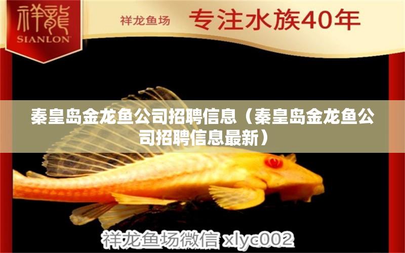 秦皇島金龍魚公司招聘信息（秦皇島金龍魚公司招聘信息最新）