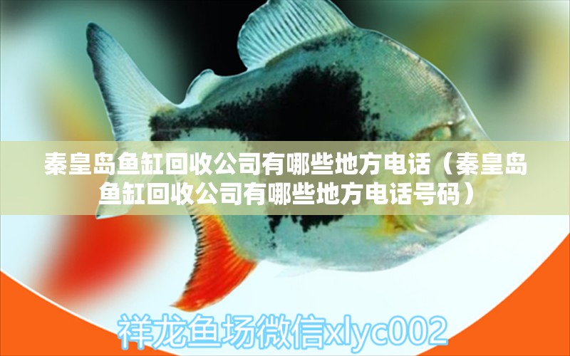 秦皇島魚缸回收公司有哪些地方電話（秦皇島魚缸回收公司有哪些地方電話號碼）