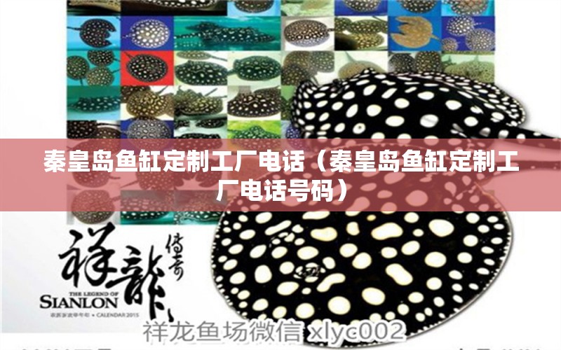 秦皇島魚(yú)缸定制工廠電話（秦皇島魚(yú)缸定制工廠電話號(hào)碼） 其他品牌魚(yú)缸