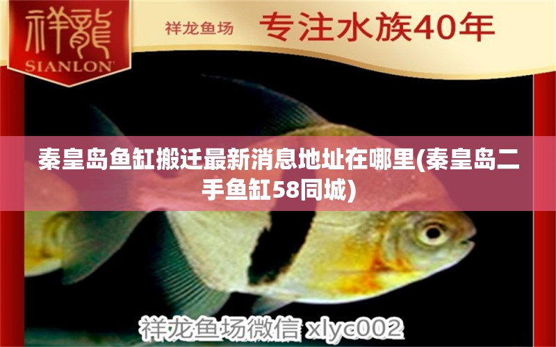 秦皇島魚缸搬遷最新消息地址在哪里(秦皇島二手魚缸58同城) 巴西亞魚苗