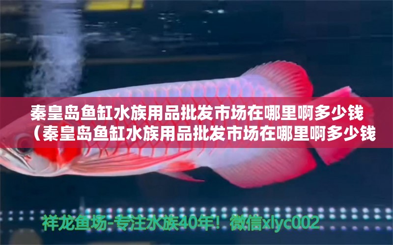 秦皇島魚缸水族用品批發(fā)市場在哪里啊多少錢（秦皇島魚缸水族用品批發(fā)市場在哪里啊多少錢一斤） 水族用品