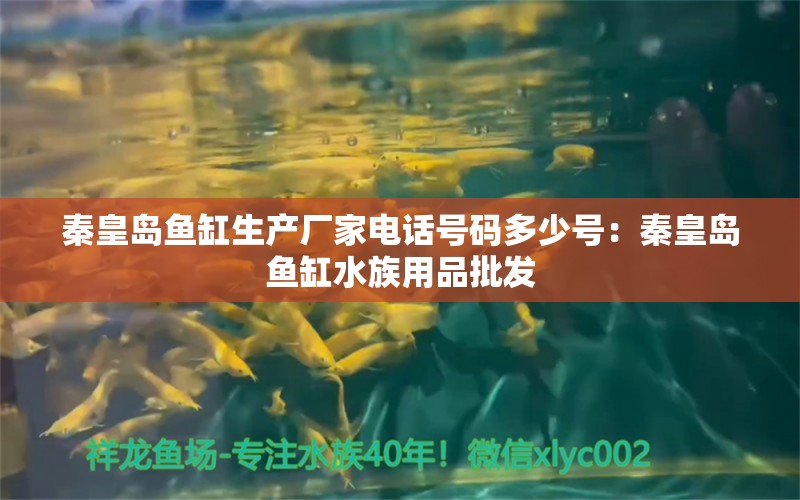 秦皇島魚缸生產(chǎn)廠家電話號碼多少號：秦皇島魚缸水族用品批發(fā) 廣州祥龍國際水族貿(mào)易 第2張