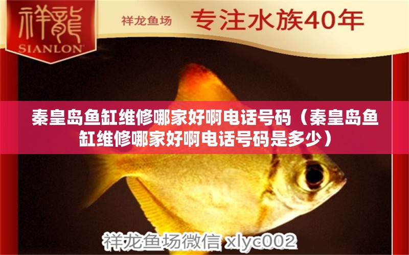 秦皇島魚缸維修哪家好啊電話號(hào)碼（秦皇島魚缸維修哪家好啊電話號(hào)碼是多少）