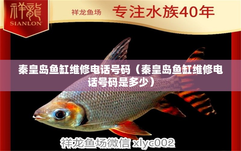 秦皇島魚缸維修電話號碼（秦皇島魚缸維修電話號碼是多少）