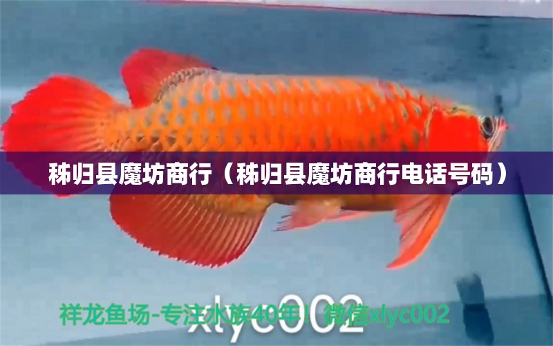 秭歸縣魔坊商行（秭歸縣魔坊商行電話號(hào)碼） 全國(guó)水族館企業(yè)名錄