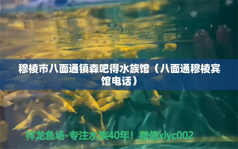 穆棱市八面通鎮(zhèn)森吧得水族館（八面通穆棱賓館電話）