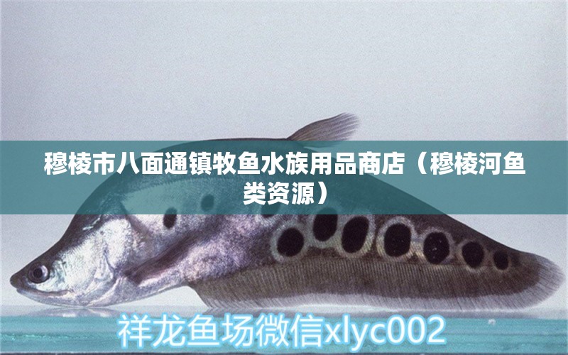 穆棱市八面通鎮(zhèn)牧魚水族用品商店（穆棱河魚類資源） 水族用品