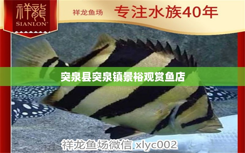 突泉縣突泉鎮(zhèn)景裕觀賞魚店 全國水族館企業(yè)名錄