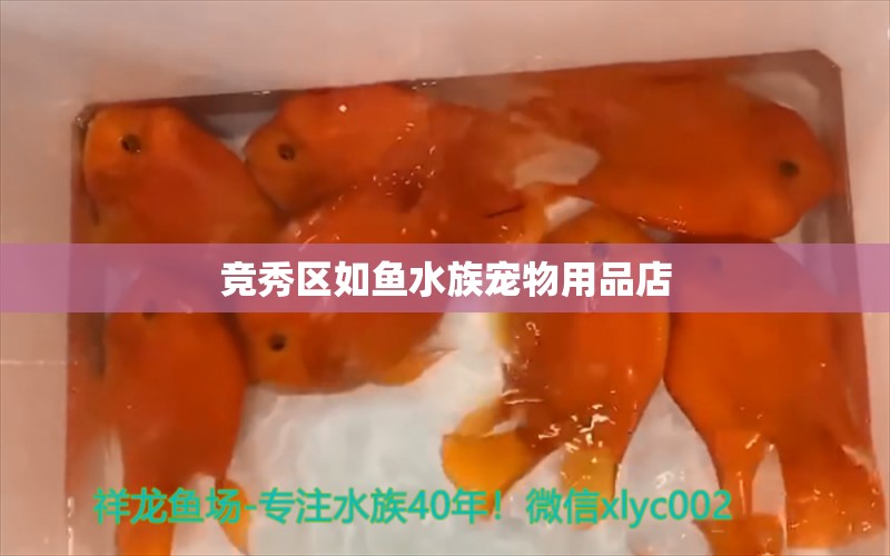 競秀區(qū)如魚水族寵物用品店