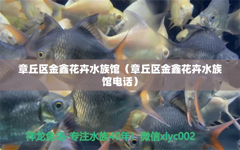 章丘區(qū)金鑫花卉水族館（章丘區(qū)金鑫花卉水族館電話）