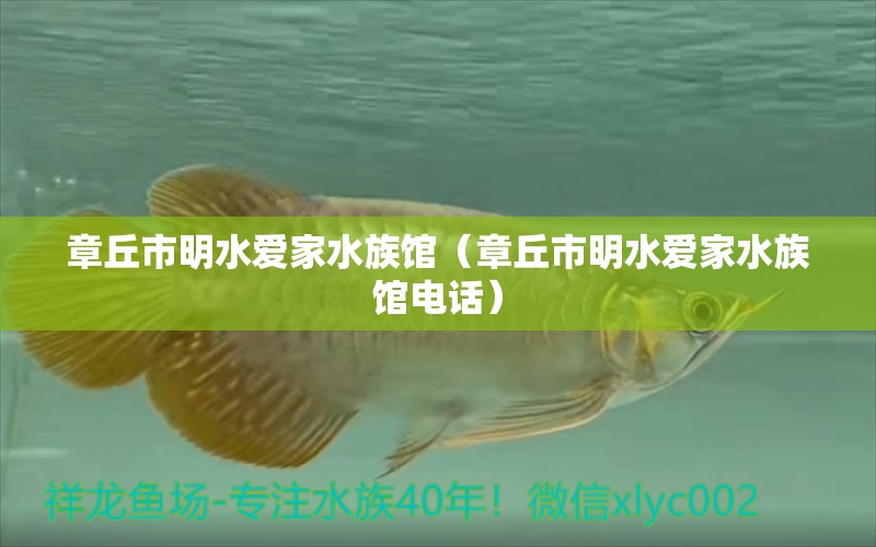 章丘市明水愛家水族館（章丘市明水愛家水族館電話）