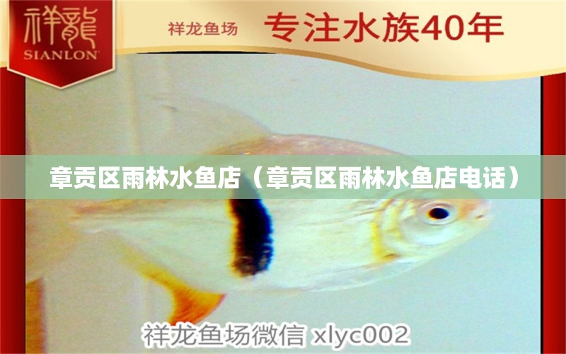 章貢區(qū)雨林水魚店（章貢區(qū)雨林水魚店電話） 全國水族館企業(yè)名錄