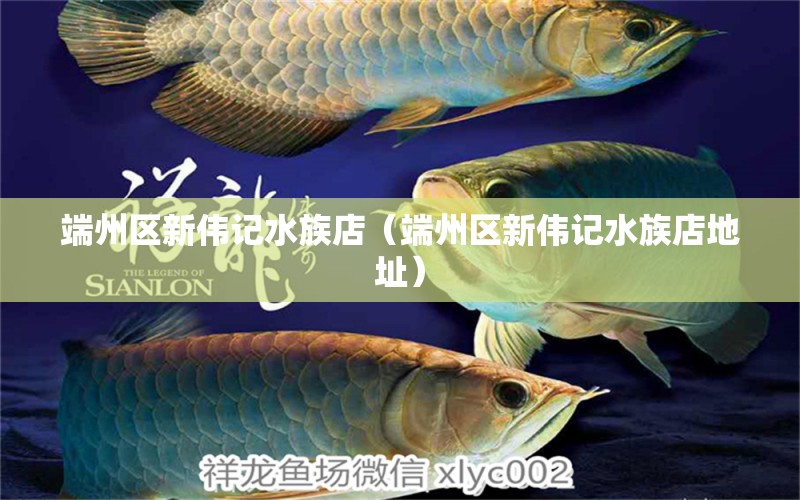 端州區(qū)新偉記水族店（端州區(qū)新偉記水族店地址）