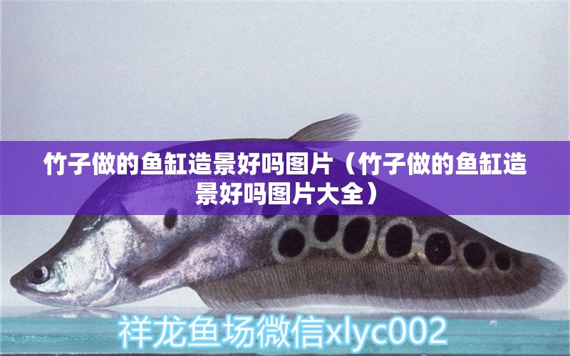 竹子做的魚(yú)缸造景好嗎圖片（竹子做的魚(yú)缸造景好嗎圖片大全） 潛水泵