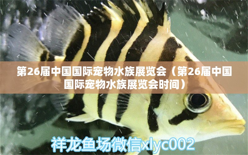 第26屆中國(guó)國(guó)際寵物水族展覽會(huì)（第26屆中國(guó)國(guó)際寵物水族展覽會(huì)時(shí)間）