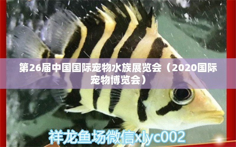 第26屆中國(guó)國(guó)際寵物水族展覽會(huì)（2020國(guó)際寵物博覽會(huì)）