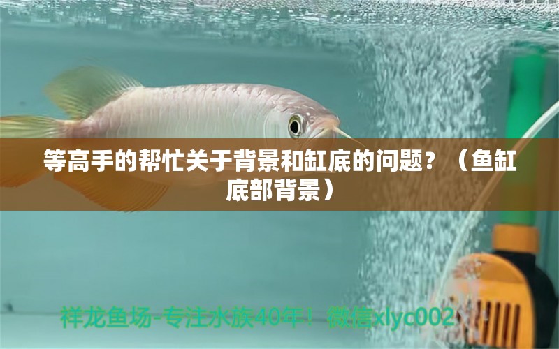 等高手的幫忙關于背景和缸底的問題？（魚缸底部背景）