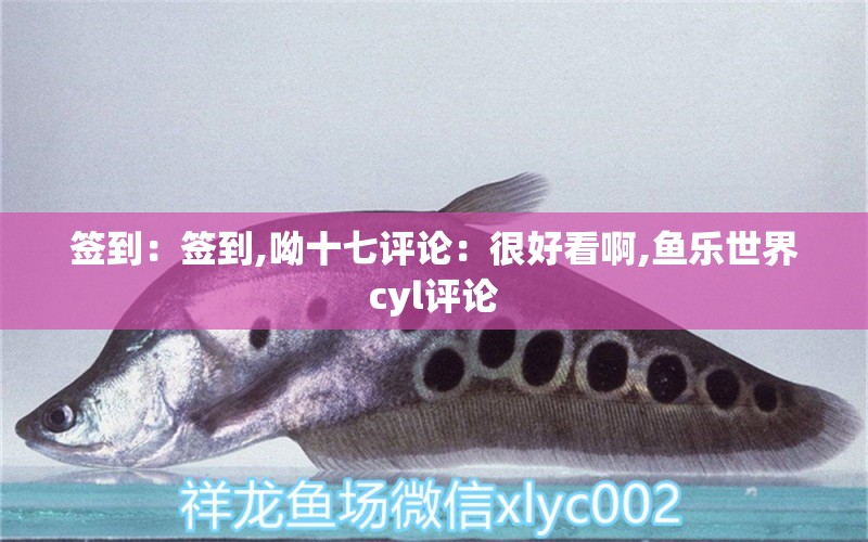 簽到：簽到,呦十七評論：很好看啊,魚樂世界cyl評論 觀賞魚論壇 第2張