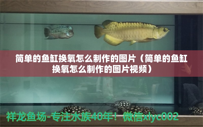 簡單的魚缸換氧怎么制作的圖片（簡單的魚缸換氧怎么制作的圖片視頻） 元寶鯽