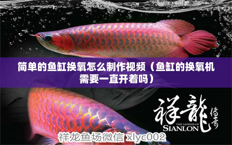 簡(jiǎn)單的魚(yú)缸換氧怎么制作視頻（魚(yú)缸的換氧機(jī)需要一直開(kāi)著嗎） 白子銀版魚(yú)苗