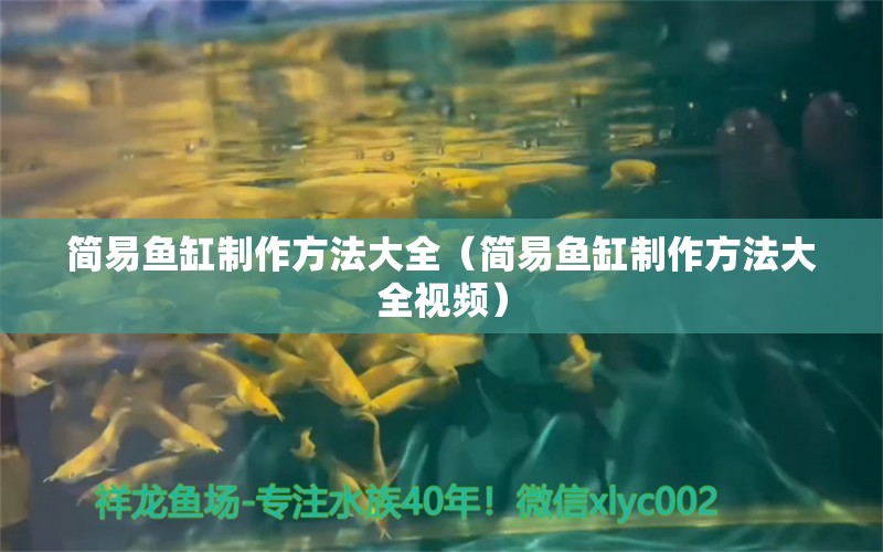 簡(jiǎn)易魚缸制作方法大全（簡(jiǎn)易魚缸制作方法大全視頻）