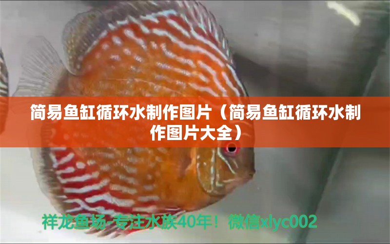 簡易魚缸循環(huán)水制作圖片（簡易魚缸循環(huán)水制作圖片大全）