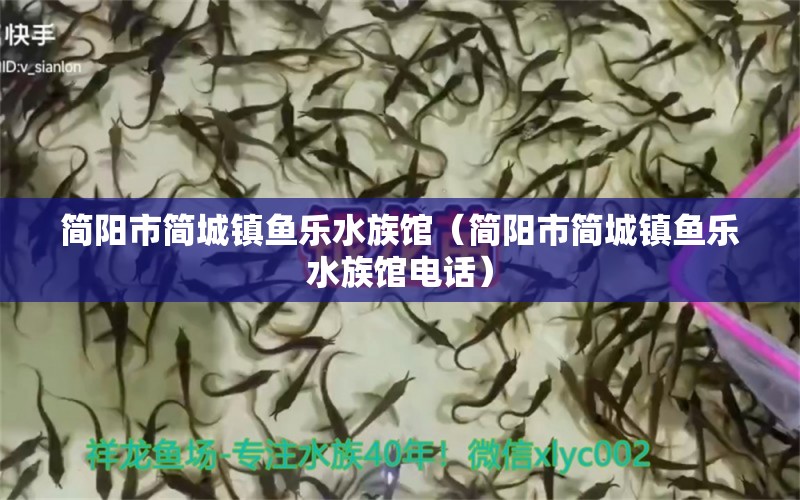 簡(jiǎn)陽(yáng)市簡(jiǎn)城鎮(zhèn)魚(yú)樂(lè)水族館（簡(jiǎn)陽(yáng)市簡(jiǎn)城鎮(zhèn)魚(yú)樂(lè)水族館電話）