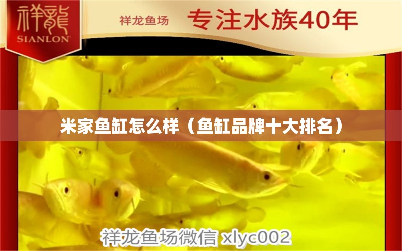 米家魚(yú)缸怎么樣（魚(yú)缸品牌十大排名）