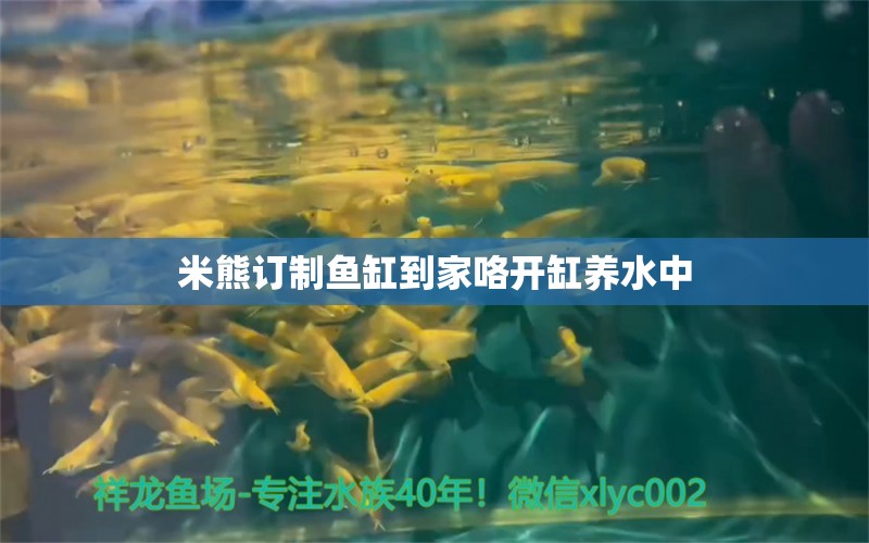 米熊訂制魚缸到家咯開缸養(yǎng)水中 野生地圖魚