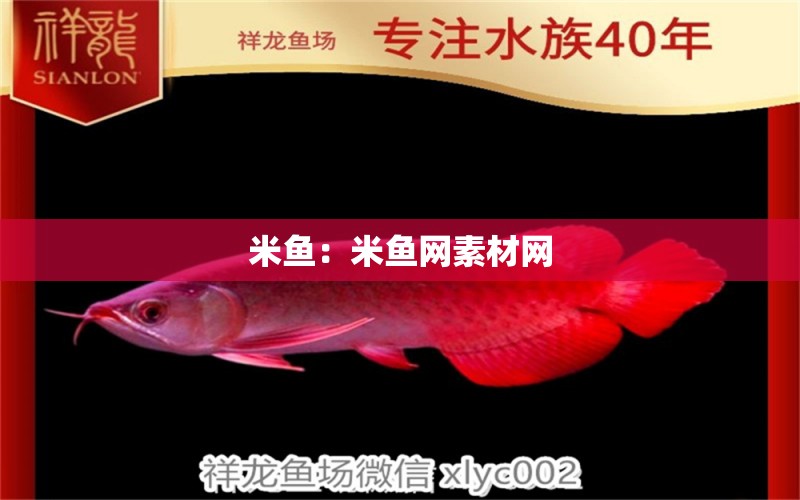 米魚(yú)：米魚(yú)網(wǎng)素材網(wǎng)